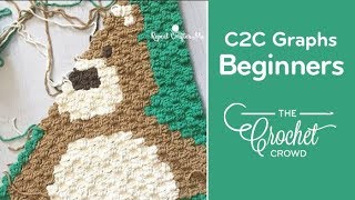 How to Crochet Corner to Corner (C2C) Graphghans for Beginners