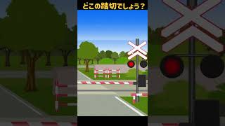 どこの国の踏切でしょう？【踏切アニメ】 railroad crossing  #ショート #Shorts