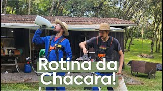 ROTINA DA CHÁCARA | FINDI CHEIO DE SERVIÇO NO MORRO DOS BUGIOS