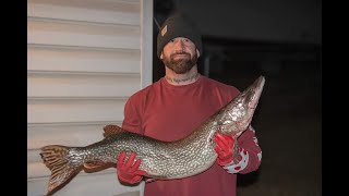 Whopper Northern Pike! Lake Sakakawea North Dakota!