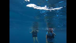 Abbate Family Scuba 2nd Dive Jamaica part 2