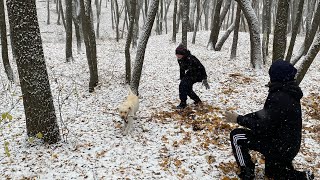 Дети тоже нагулялись сегодня с лабрадором и еще у нас снег пошел/04.11.24