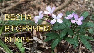 Горячий ключ/От набережной до скалы Петушок/Местные достопримечательности