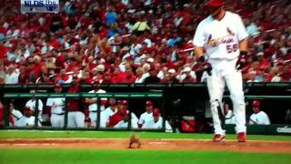 (HD)Funny Squirrel On The Field at Game 4 NLDS 2011 - Phillies vs Cardinals