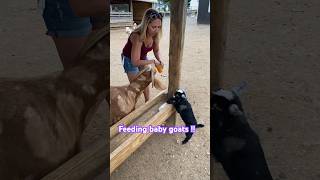 Feeding baby goats !! #love #animals