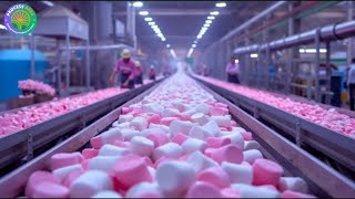 How Factories Make Millions of Marshmallows - Inside the Marshmallow Mega Factory Process