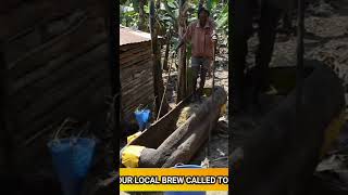 How to make local Brew called "TONTO" in Uganda. #Shorts