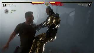 Mk11 Terminator Fatal Blow