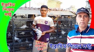 ইব্রাহিম পিজন লফ্ট | Ibrahim pigeon loft | Dhlpur Saidabad | ধলপুর সায়দাবাদ | Latest Update