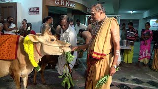 Remembering Shri. Srinivasa Krishnan Guruswamy | SIBSCT Special Satsang