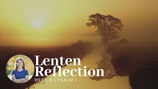 Lenten Reflection | Psalm 1