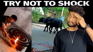 SHOCK AH KORA!!!😲SHOCK AH KORA!!!😲| TRY NOT TO SHOCK | Part-2 | Funny Instagram Reels 😜|By Shamy