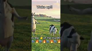 My bday is in this month guess which day #funny #october #cow #memes #theboys