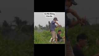 Câu Cá Rô Đồng/Câu Cá Sông @minhcanhfishing