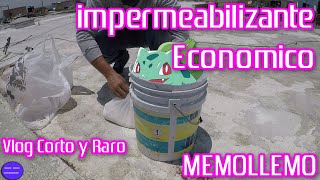 Impermeabilizando la casa | Vlog Economico |