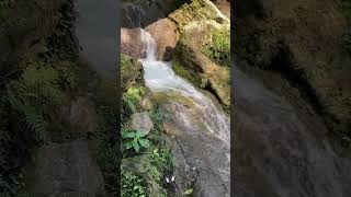 Keep Smile with Freshness 🌳⛰️⛰️#nature #jammukashmir #travel #mountains #tracking #waterfall