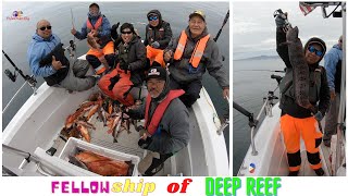 Wolf Eel| Rockfish| Lingcod @ Deep Reef Fishing.