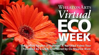 The Sutton Garden in Summer: Sponsored by CU Maurice River