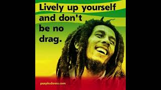 LIVELY UP YOURSELF - BOB MARLEY