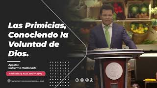 Las Primicias, Conociendo la Voluntad de Dios | Apóstol Guillermo Maldonado