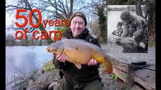 50 years of carp