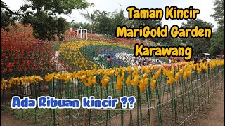 Marigold Garden Tamelang Karawang