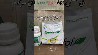 One last spray of swat agro bamboosa fungicide and speedfol cereal crop nutrition for Rice Crop