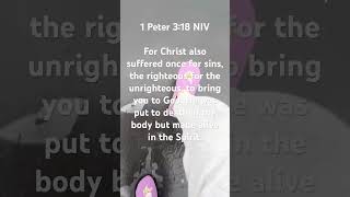 Daily Bible verse 1 Peter 3:18 “Christ is Righteous”