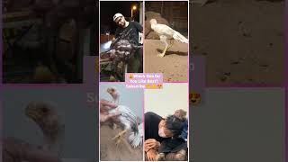 Funny Animal Videos 2023😂 - Funniest Cats and dogs Video 😺😍#shorts #tiktok #animals #trending #viral