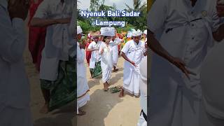 Nyenuk Bali Sadar Lampung Karya Pura Pasek #balisakral