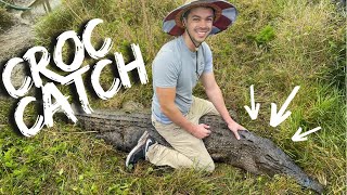 Crazy New Enclosure For Female Saltwater Crocodile | Primitive Predators