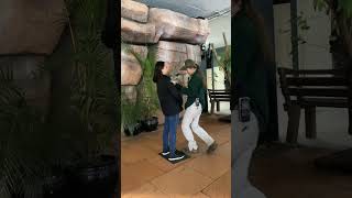 Australia Zoo #familyvacation #travelwithkids #animalshorts