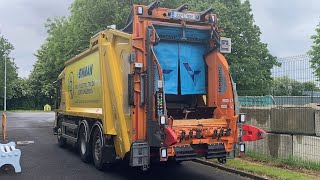 MrBinman 2023 Dennis eCollect with Olympus body and Terberg Omnidel