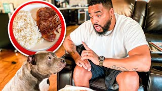 Will My Service Dog Eat My Steak Dinner If I Leave The Room...