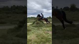 Jumping of bushes on ponies! #horse #equestrian