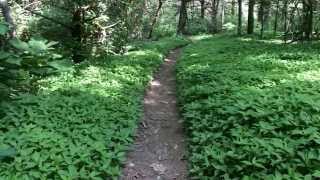 2014 Appaachian Trail Hike Part VII