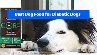 Best Dog Food for Diabetic Dogs