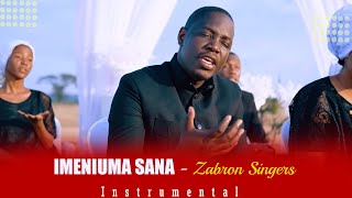 IMENIUMA SANA BY ZABRON SINGERS   INSTRUMENTAL