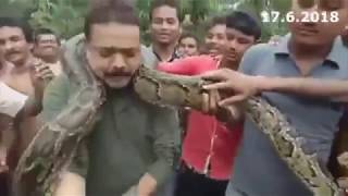 Python Nearly Strangles Man...LET ME TAKE A SELFIE!!!