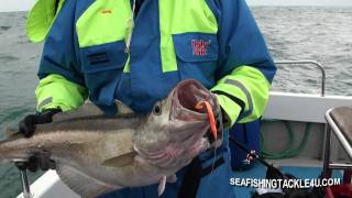 Weymouth wreck fishing for large Pollock