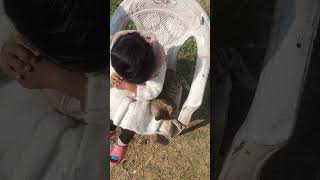 kittu playing with kids | loving cat