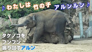 ♪わたしは竹の子アルンルン　タケノコはブンブン振り回すもの　2023年6月10日