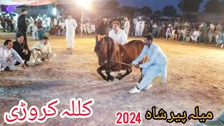 Ghoda Kulla | Horse dance | Rord | mela peer shah | Haji Anwar kharal | -62