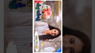 somabhai Bariya New timli video Gujarati ll WhatsApp status rimix 2024 #trending #youtubeshorts