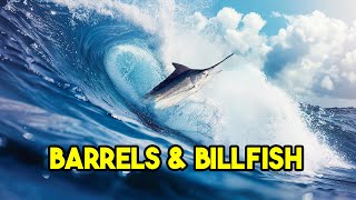 BARRELS AND BILLFISH THE Surfing and Fishing Episode S6 EP03