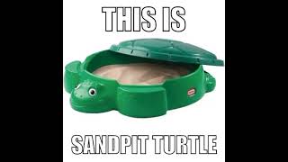 THIS IS SANDPIT TURTLE