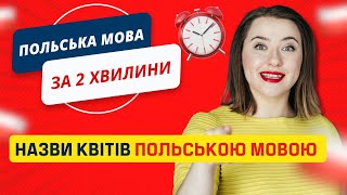 Назви квітів польською мовою. Польські слова