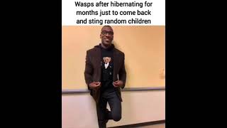 Fuck wasps