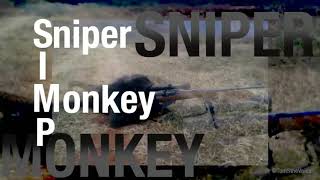 Sniper Monkey