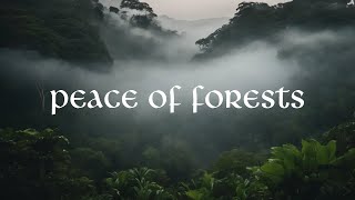 Peace Of Forests And Beaches